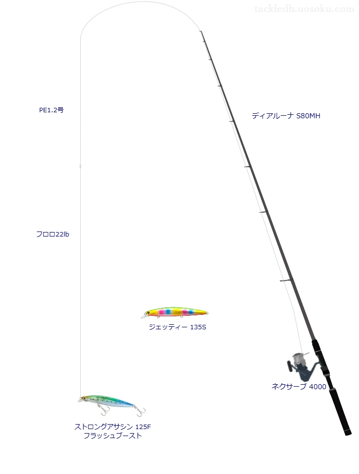 【Vインプレ】ストロングアサシン 125F フラッシュブースト用シーバスタックル【ディアルーナ S80MH】