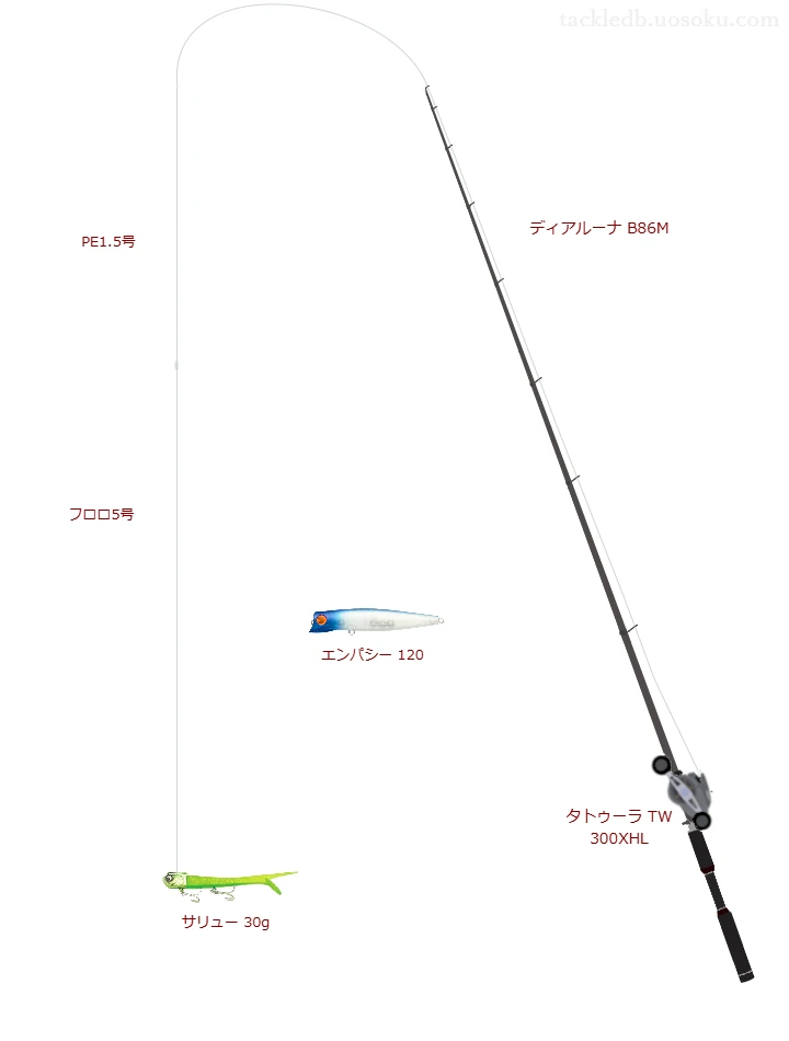 ディアルーナ B86Mとタトゥーラ TW 300XHL,サリュー 30gによるシーバスタックル【仮想インプレ】