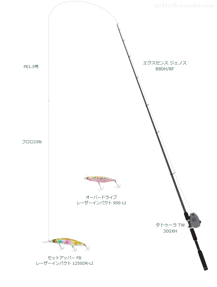 エクスセンス ジェノス B80H/RFとショアラインシャイナーZ セットアッパー フルバック レーザーインパクト 125SDR-LIによる最強シーバスタックル