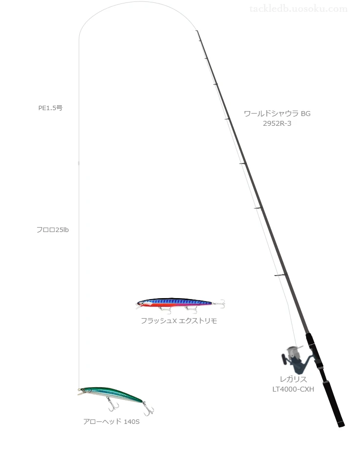 PEレジンシェラー8 1.5号とラッププレミアムショックリーダー 25lbを使用したスピニングタックル【ワールドシャウラ BG 2952R-3】