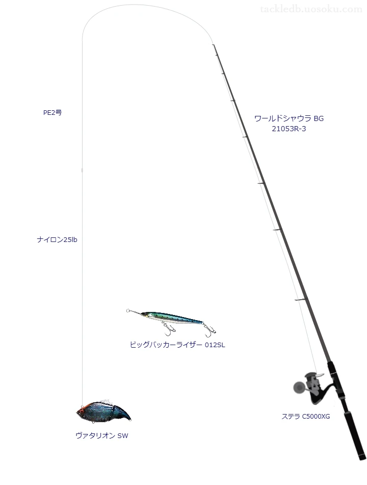 ヴァタリオン SWのためのスピニングタックル。シマノのロッドとシマノのリール