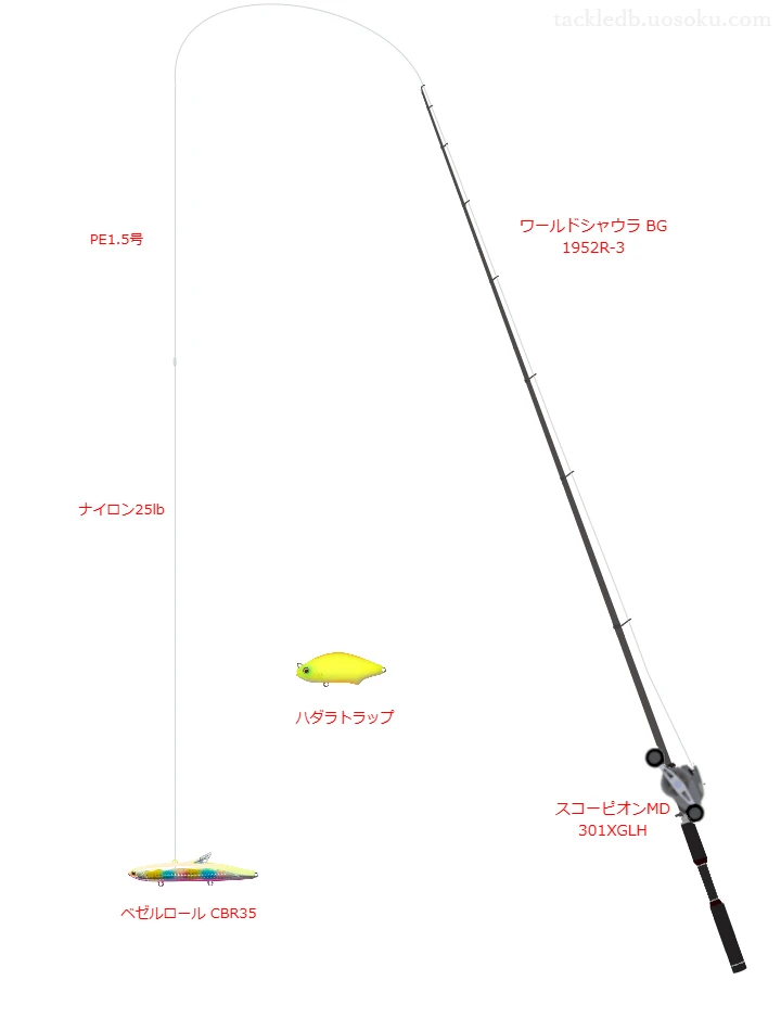 ベゼルロール CBR35を使うシーバスタックル【ワールドシャウラ BG 1952R-3】