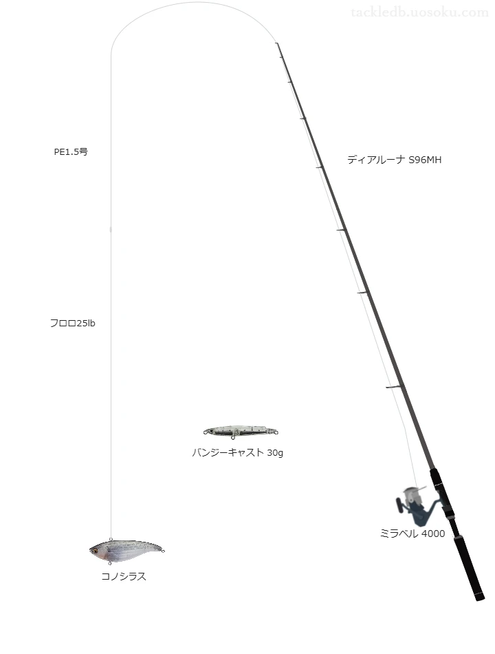 ディアルーナ S96MHとコノシラスによる最強シーバスタックル