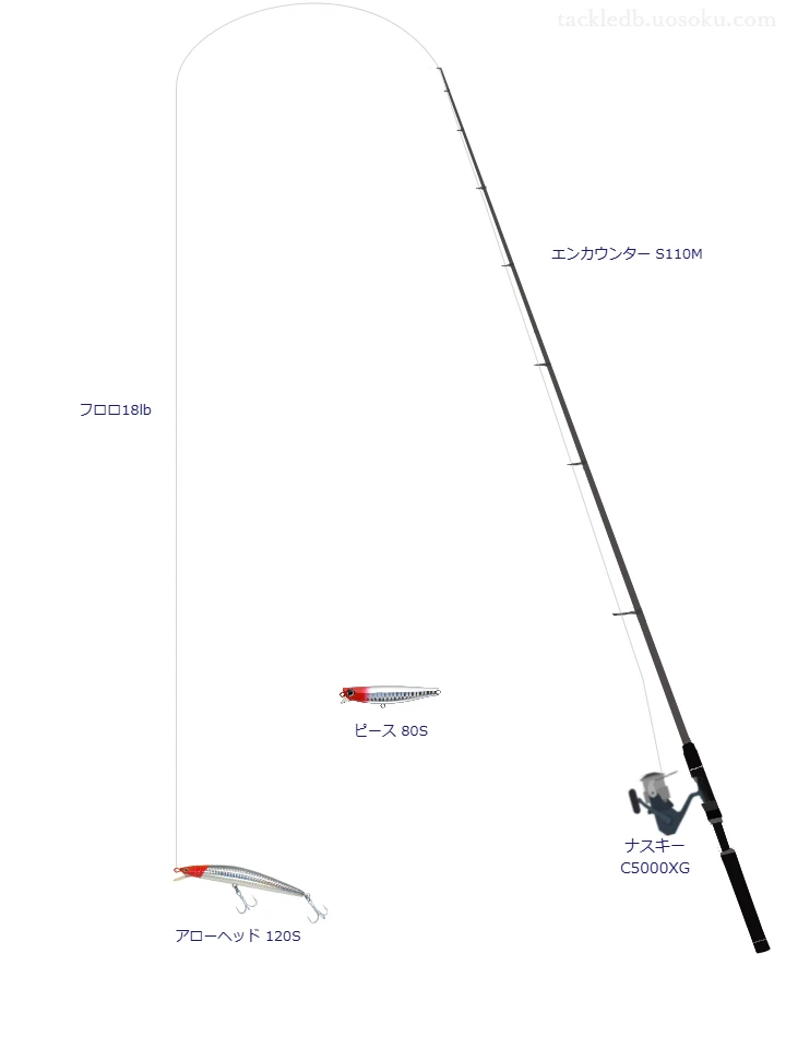 アローヘッド 120Sのためのスピニングタックル。シマノのロッドとシマノのリール