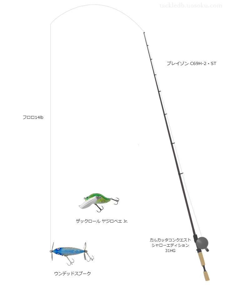 【蛭藻沼】 ウンデッドスプークのためのバス釣りタックル【ブレイゾン C69H-2・ST】