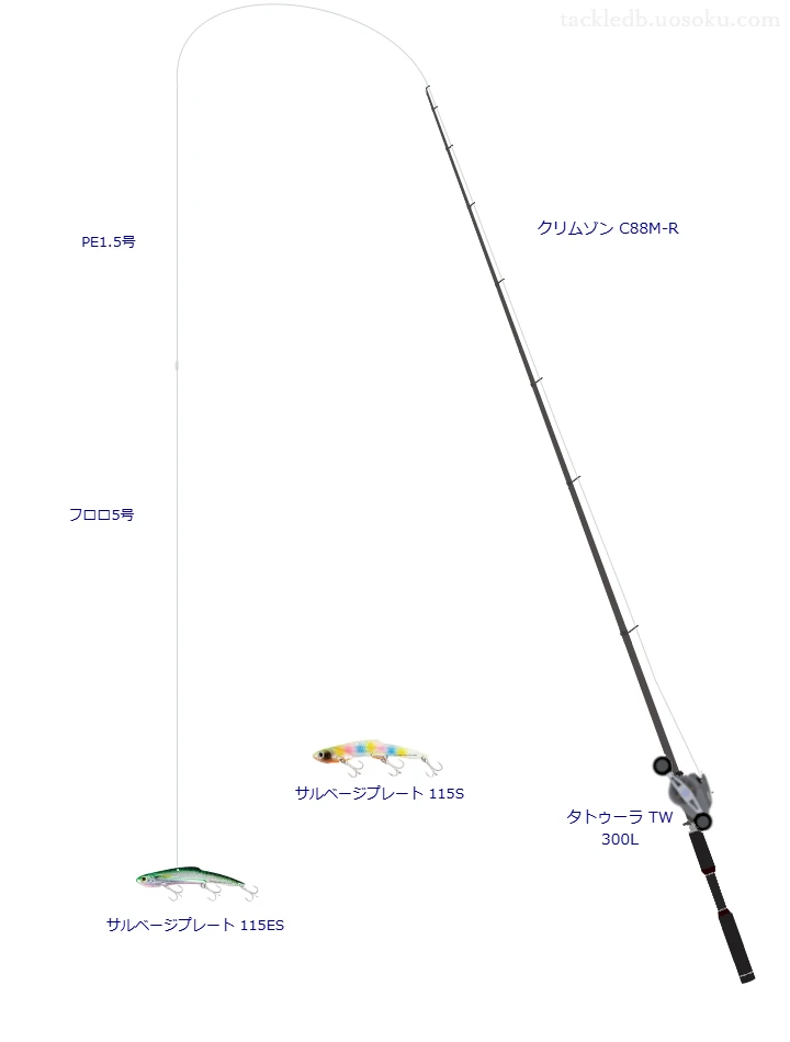 クリムゾン C88M-Rとタトゥーラ TW 300L,サルベージプレート 115ESによるシーバスタックル【仮想インプレ】