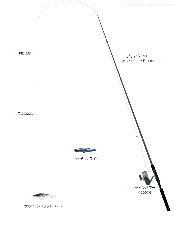 【江戸川】サルベージソリッド 85ESのためのシーバスタックル【ブラックアロー アンリミテッド 93ML】