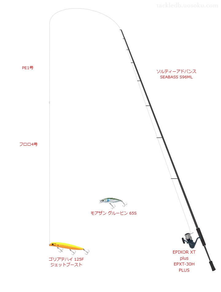 ソルティーアドバンス SEABASS S96MLを使用した最強シーバスタックル