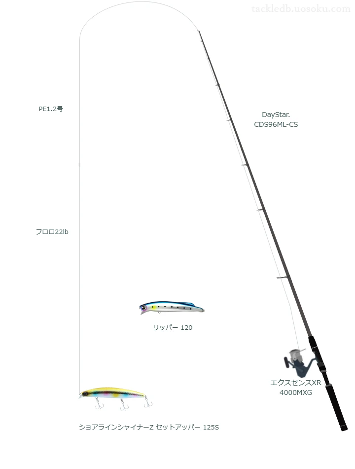 DayStar. CDS96ML-CSとエクスセンスXR 4000MXG, セットアッパー 125Sによるシーバスタックル【仮想インプレ】