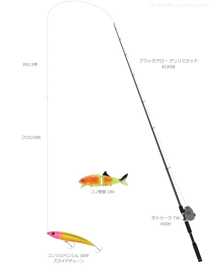 ブラックアロー アンリミテッド 81XXBとタトゥーラ TW 400Hの調和によるシーバスタックル【仮想インプレ】