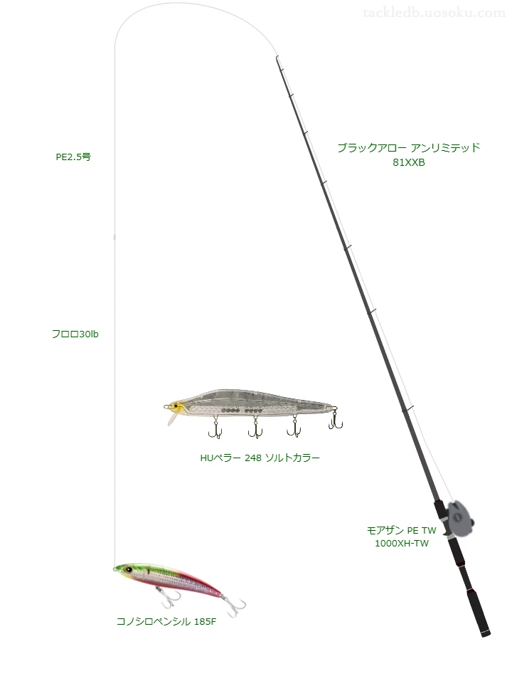 ブラックアロー アンリミテッド 81XXBとコノシロペンシル 185Fによる最強シーバスタックル