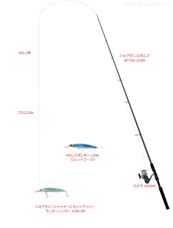 ピットブル 12 1.2号とビッグ フロロカーボン 22lbを使用したスピニングタックル【ショアガンエボルブ SFTGS-103M】