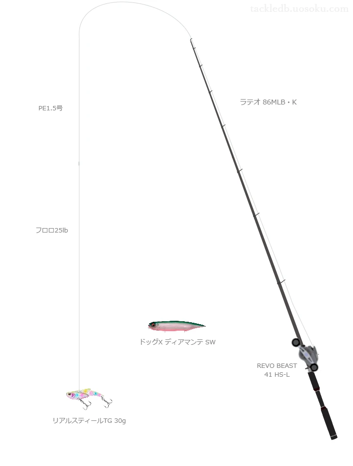 中級者向けシーバスタックル。ラテオ 86MLB・Kとアブガルシアのリール