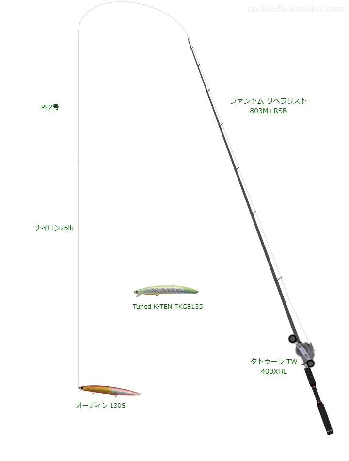 ファントム リベラリスト 803M+RSBを使用した最強シーバスタックル