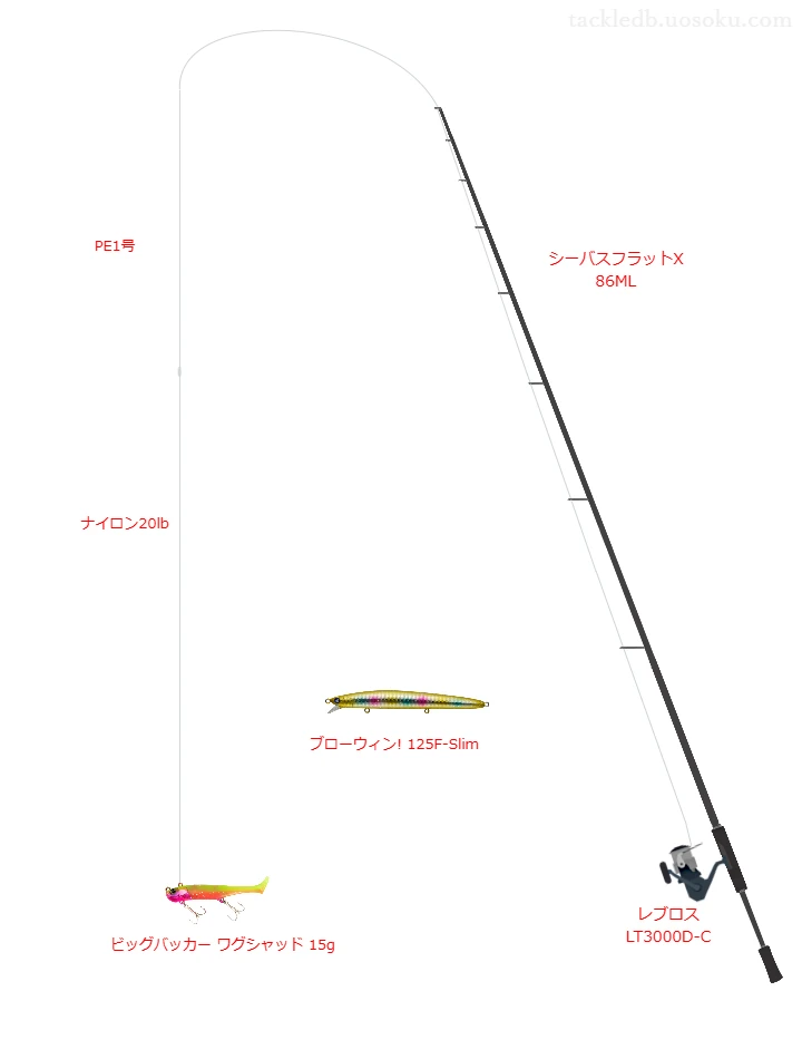 シーバスフラットX 86MLとジグヘッドワームによるシーバスタックル【Vインプレ】