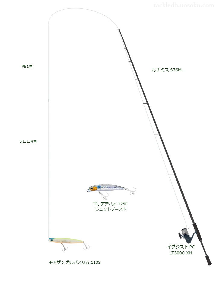 【衣浦】ガルバスリム 110Sのためのシーバスタックル【ルナミス S76M】