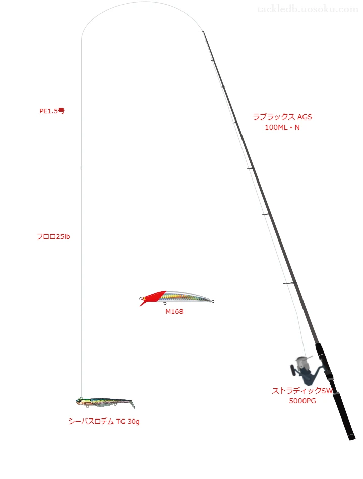 ラブラックス AGS 100ML・NとストラディックSW 5000PGを組み合わせたシーバスタックル【仮想インプレ】