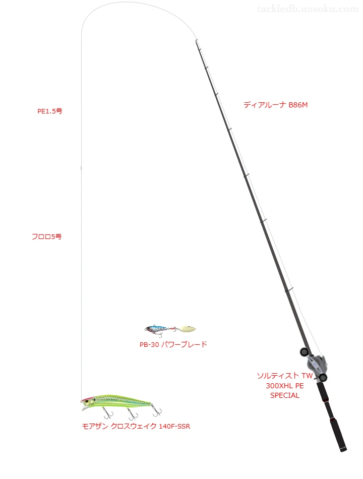 ODDPORT WX P-1 8 1.5号とFC ABSORBER Slim&Strong 5号を使用したベイトPE専用タックル【ディアルーナ B86M】