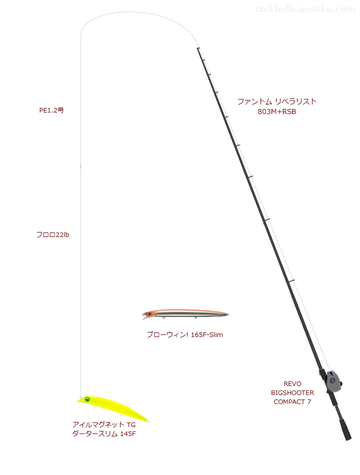 ファントム リベラリスト 803M+RSBとREVO BIGSHOOTER COMPACT 7,アイルマグネット TG ダータースリム 145Fによるシーバスタックル【仮想インプレ】