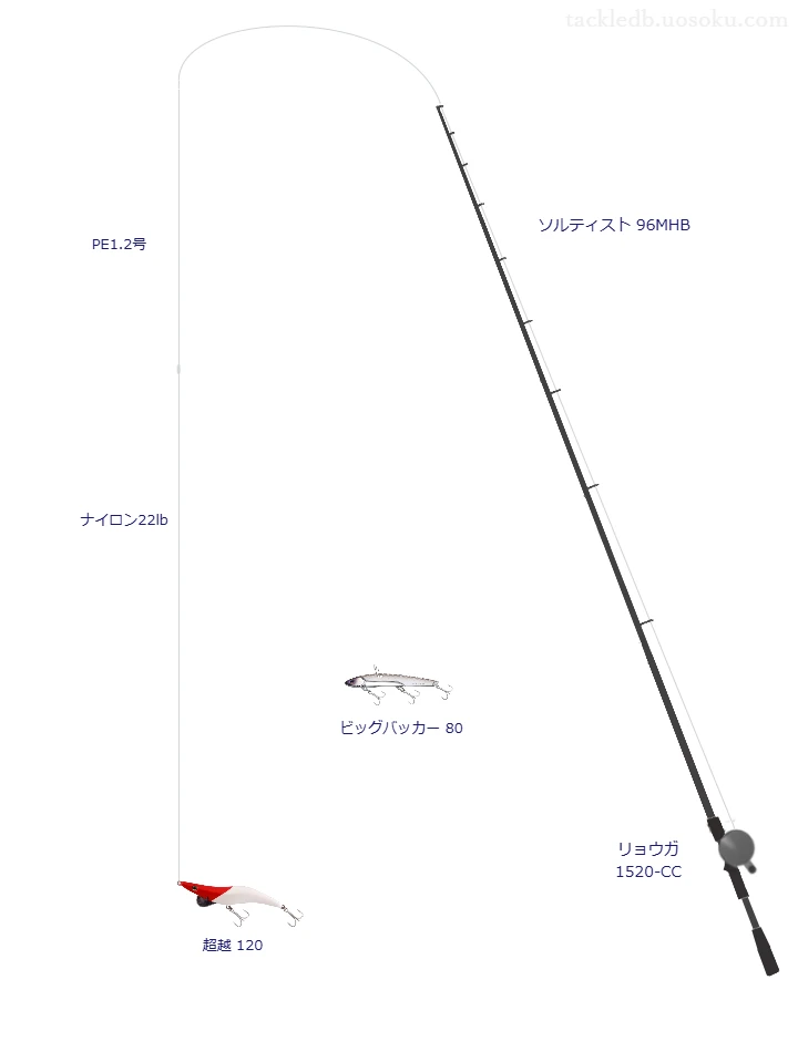 超越 120のためのシーバスタックル