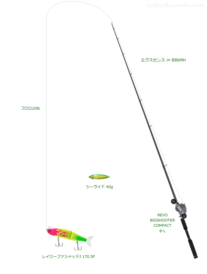 レイジーファシャッドJ 170.5Fのためのベイトタックル。シマノのロッドとアブガルシアのリール