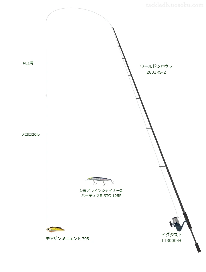 上級者向けシーバスタックル。ワールドシャウラ 2833RS-2とダイワのリール