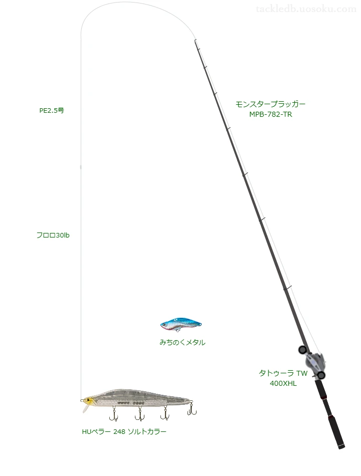 ウエイトが74.0g程度のルアーのためのシーバスタックル【HUペラー 248 ソルトカラー】