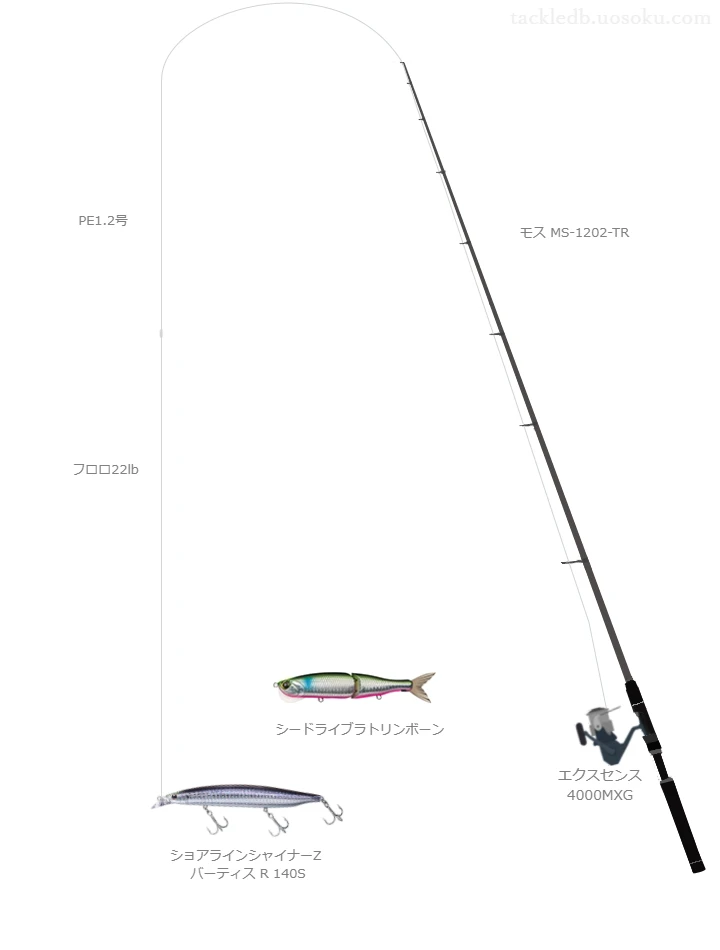 モス MS-1202-TRとエクスセンス 4000MXGを組み合わせたシーバスタックル【仮想インプレ】