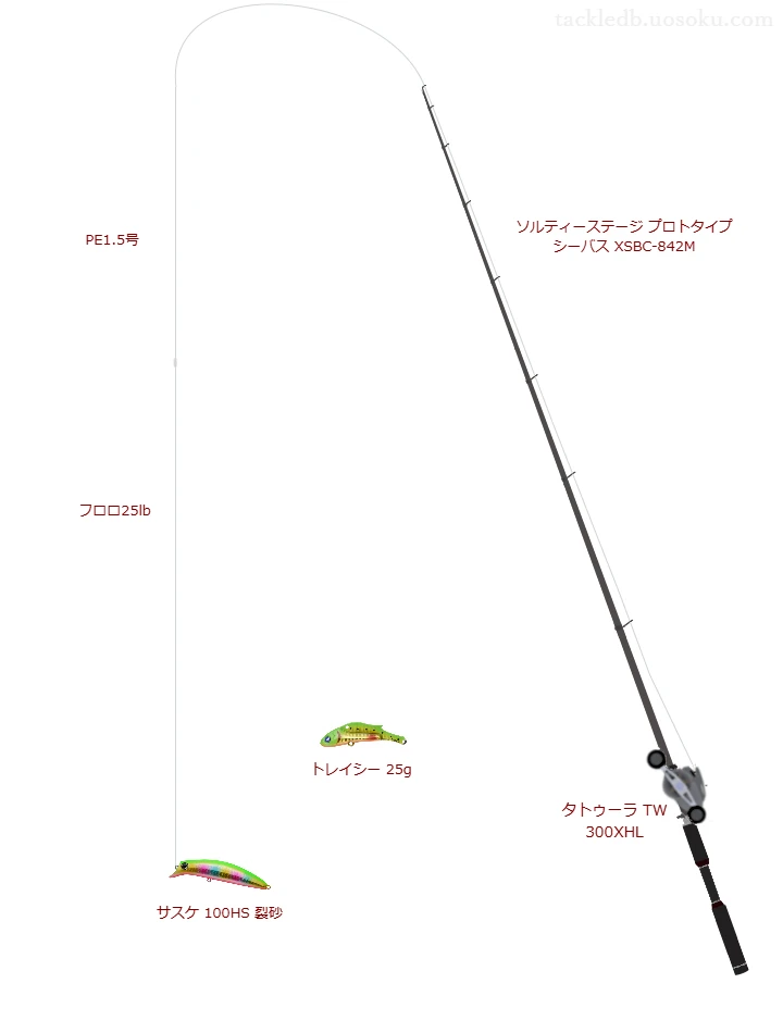ソルティーステージ プロトタイプ シーバス XSBC-842M,タトゥーラ TW 300XHL,ミノーを使うシーバスタックル【仮想インプレ】