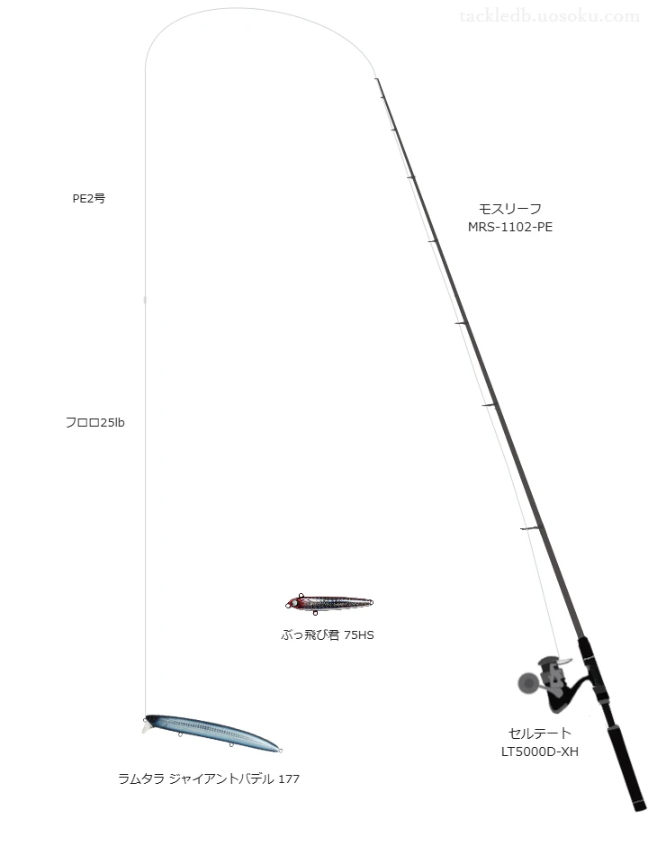 上級者向けヒラスズキタックル。モスリーフ MRS-1102-PEとダイワのリール