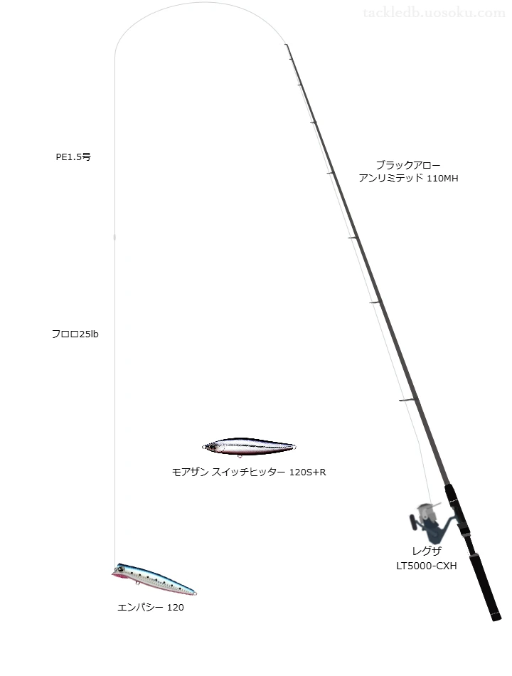 ブラックアロー アンリミテッド 110MHでペンシルを使うヒラスズキタックル【仮想インプレ】