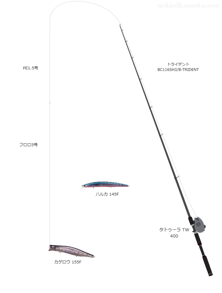 トライデント BC116SH3/B-TRIDENTとタトゥーラ TW 400を組み合わせたヒラスズキタックル【仮想インプレ】