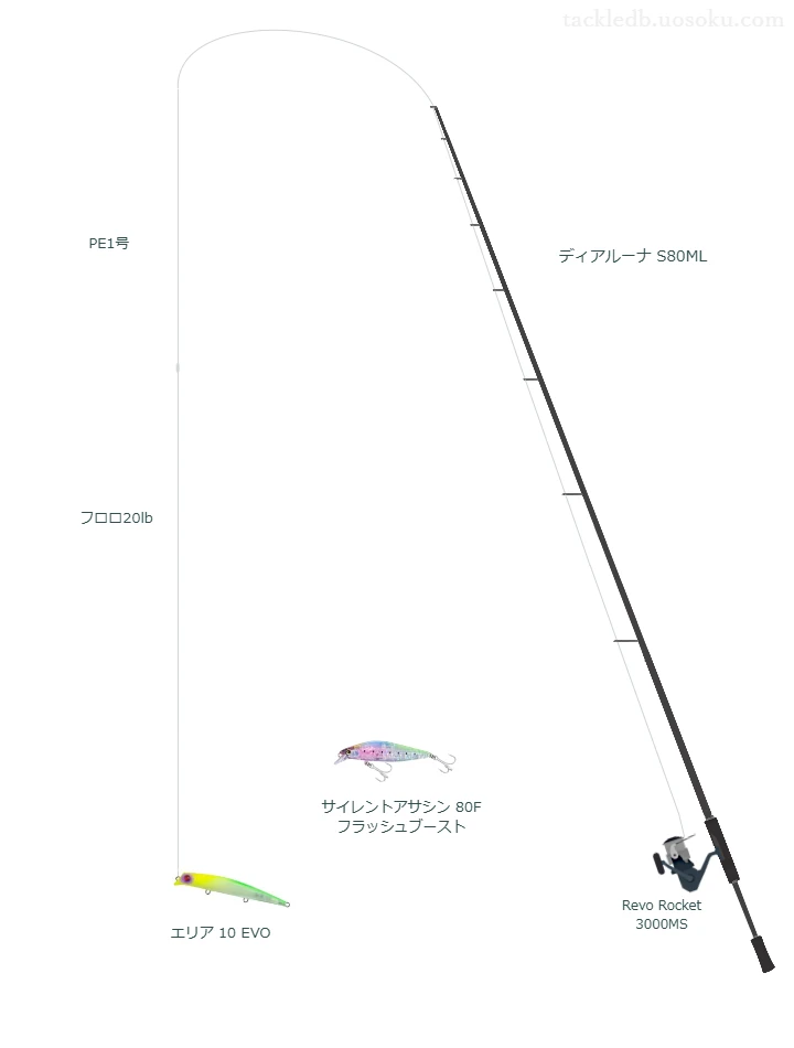 ディアルーナ S80MLとアブガルシアのリールでエリア 10 EVOを使用するタックル