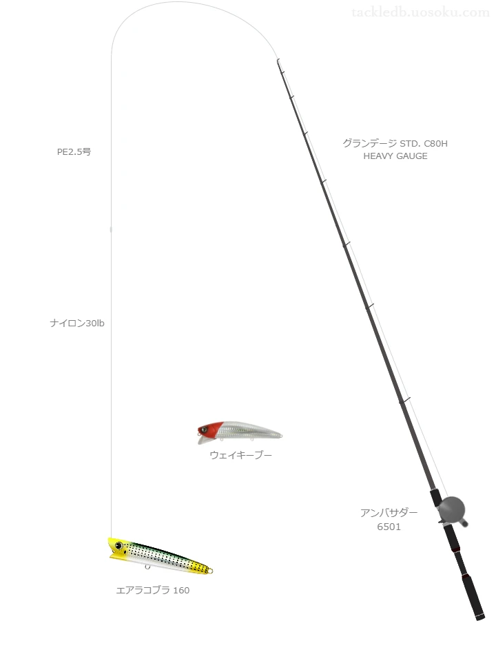 【今切川】エアラコブラ 160を活かすシーバスタックル【仮想インプレ】