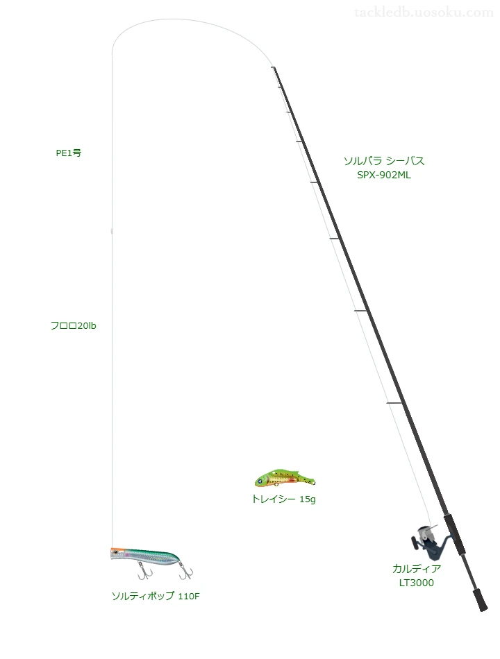  ソルパラシーバス SPX-902MLとソルティポップ 110Fによる最強シーバスタックル