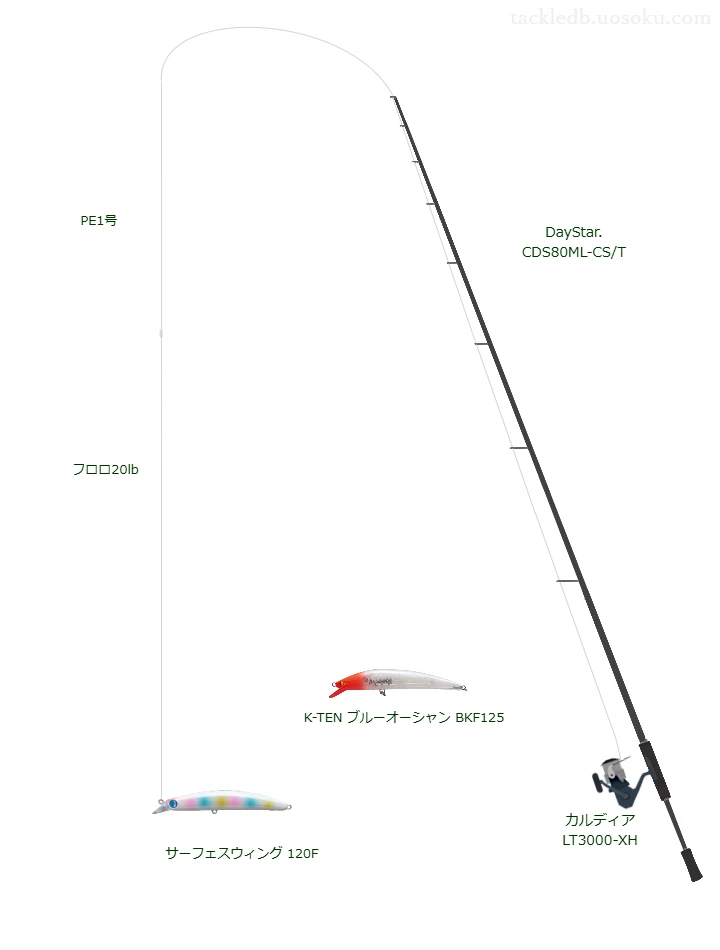 DayStar. CDS80ML-CS/Tとダイワのリールでサーフェスウィング 120Fを使用するタックル