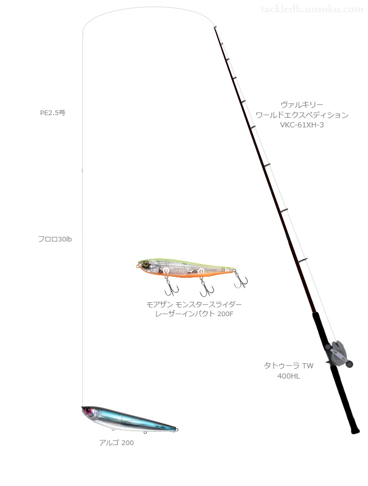 アルゴ 200のためのベイトタックル。メガバスのロッドとダイワのリール