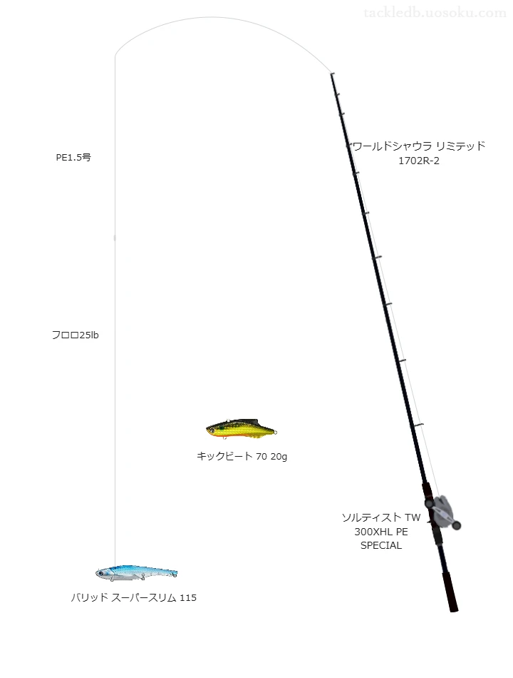 ワールドシャウラ リミテッド 1702R-2とバイブレーションによるボートシーバスタックル【Vインプレ】