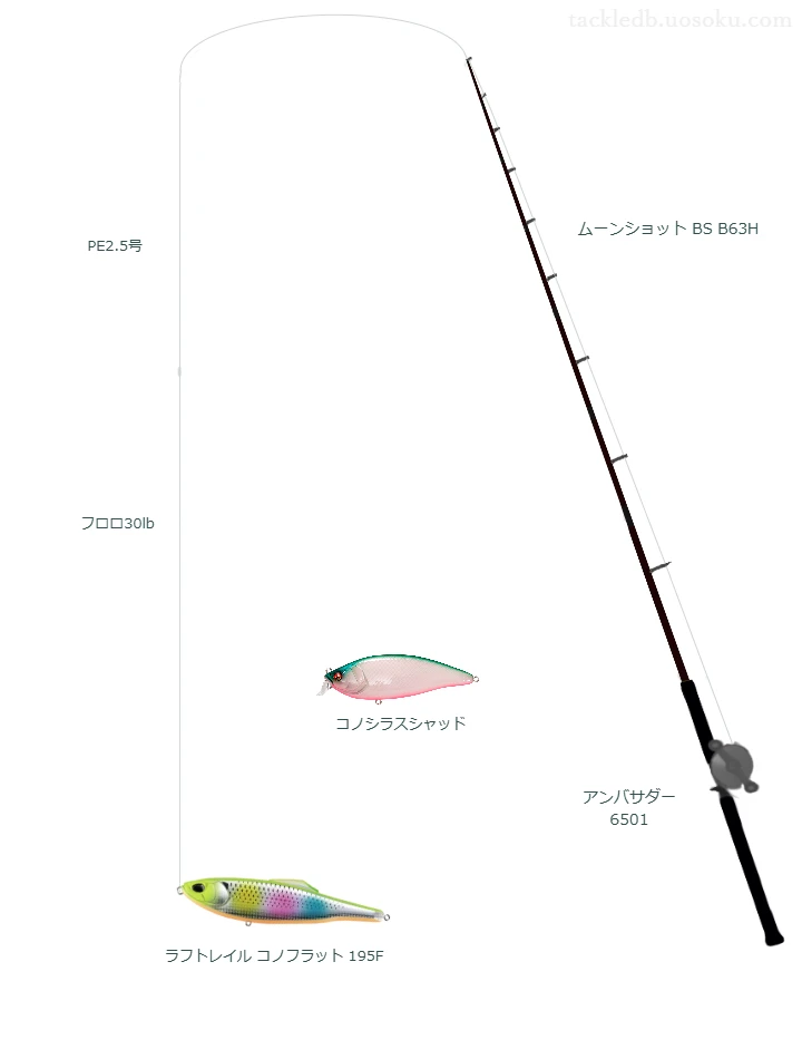ムーンショット BS B63Hとアンバサダー6501を組み合わせたシーバスタックル【仮想インプレ】