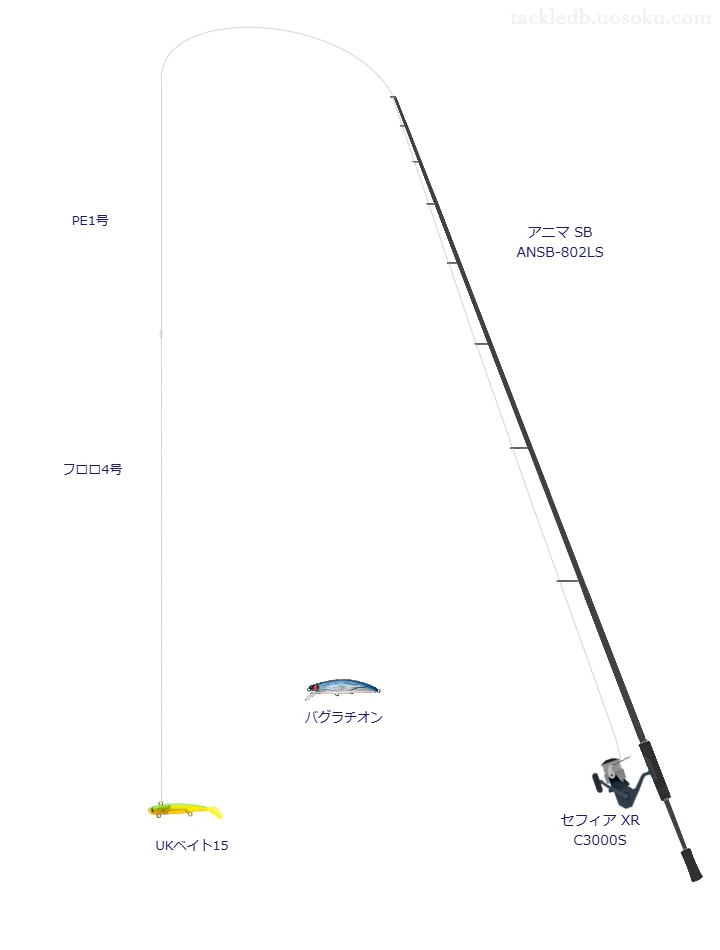 アニマ SB ANSB-802LSとセフィア XR C3000S,PE1号によるシーバスタックル