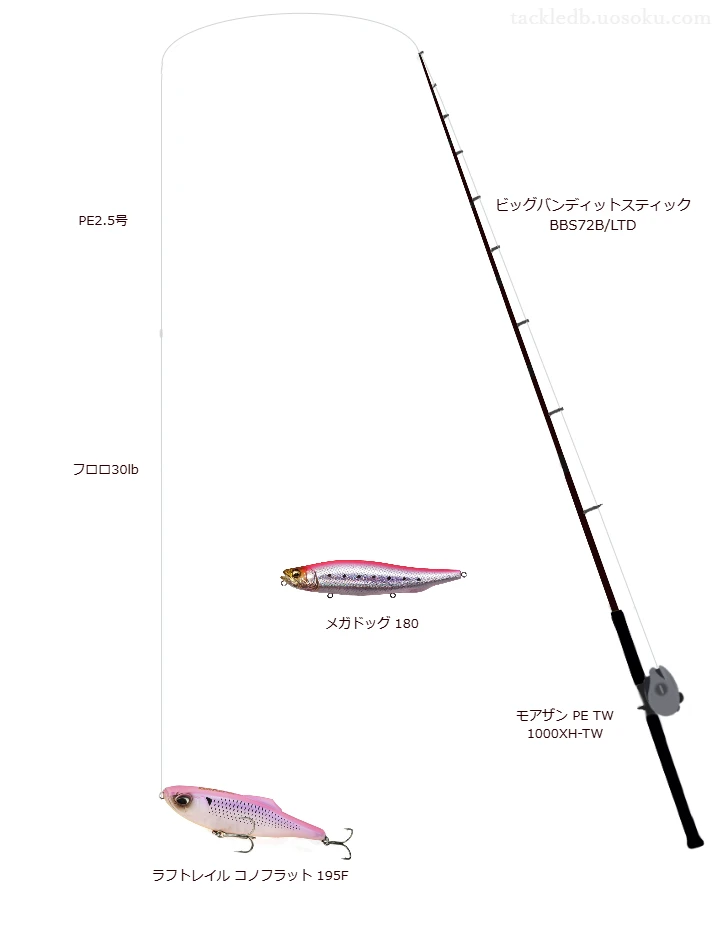 ラフトレイル コノフラット 195Fの仮想使用におけるインプレッション