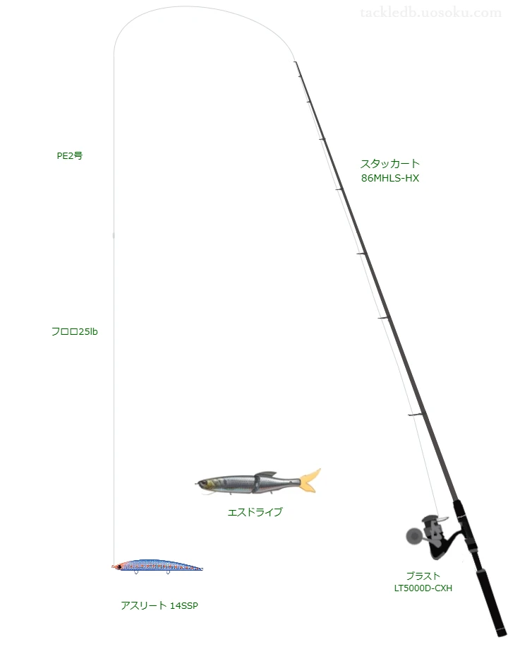 スタッカート 86MHLS-HXとブラスト LT5000D-CXHの調和によるシーバスタックル【仮想インプレ】