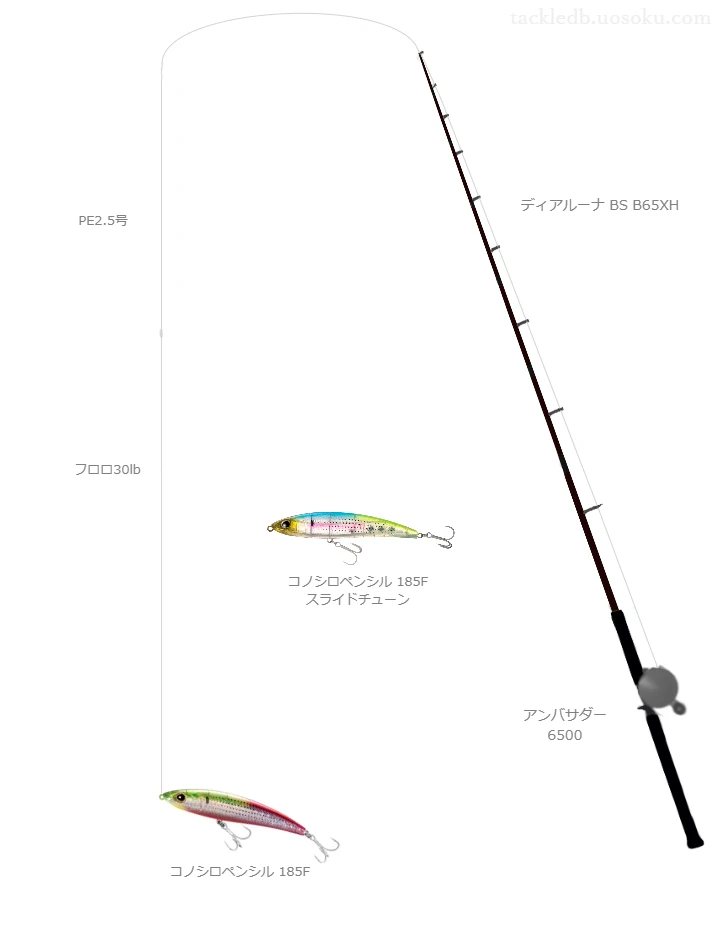 シルバースレッド ショアゲームPE 2.5号とROOTS FC LEADER 30lbを使用したシーバスタックル【ディアルーナ BS B65XH】