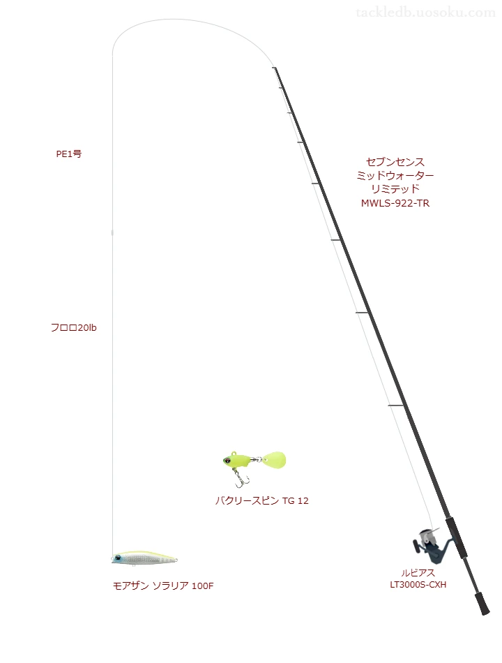 セブンセンス ミッドウォーター リミテッド MWLS-922-TRとルビアス LT3000S-CXHによる高級シーバスタックル【仮想インプレ】