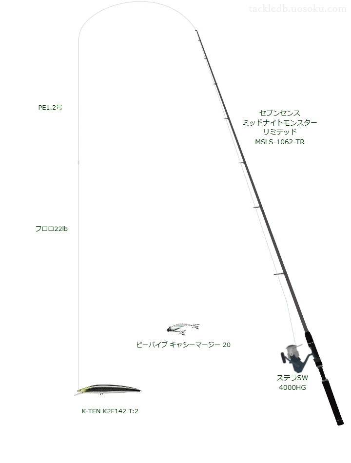 セブンセンス ミッドナイトモンスター リミテッド MSLS-1062-TRとミノーによるシーバスタックル【Vインプレ】