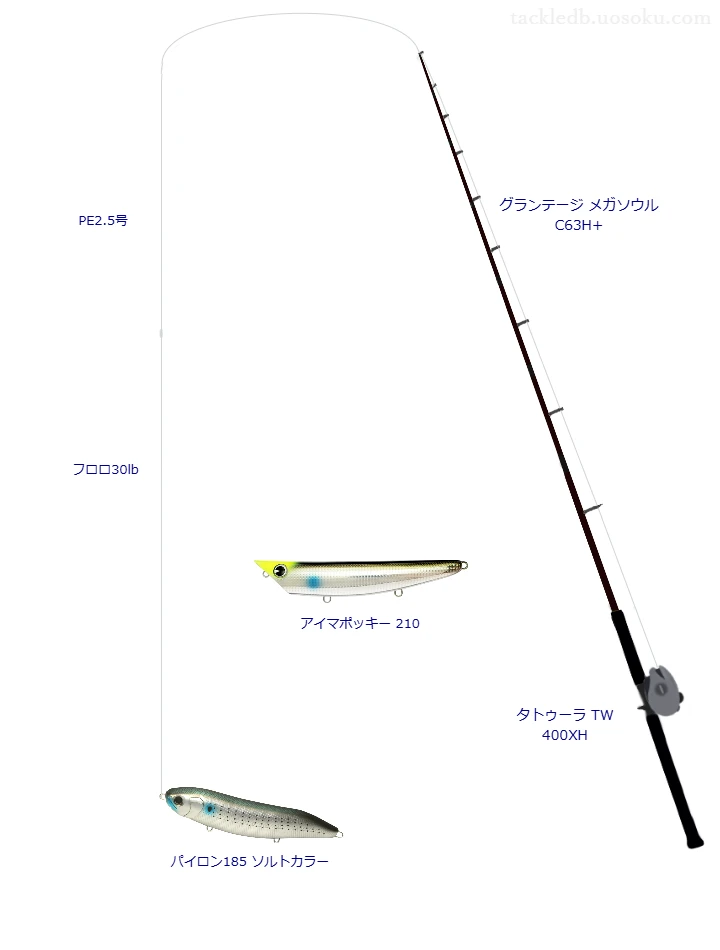 グランテージ メガソウル C63H+とパイロン185 ソルトカラーによる最強ボートシーバスタックル