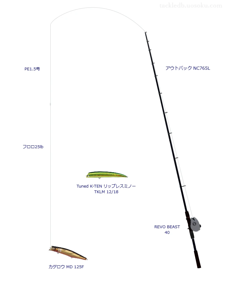 アウトバック NC765Lとアブガルシアのリールでカゲロウ MD 125Fを使用するタックル