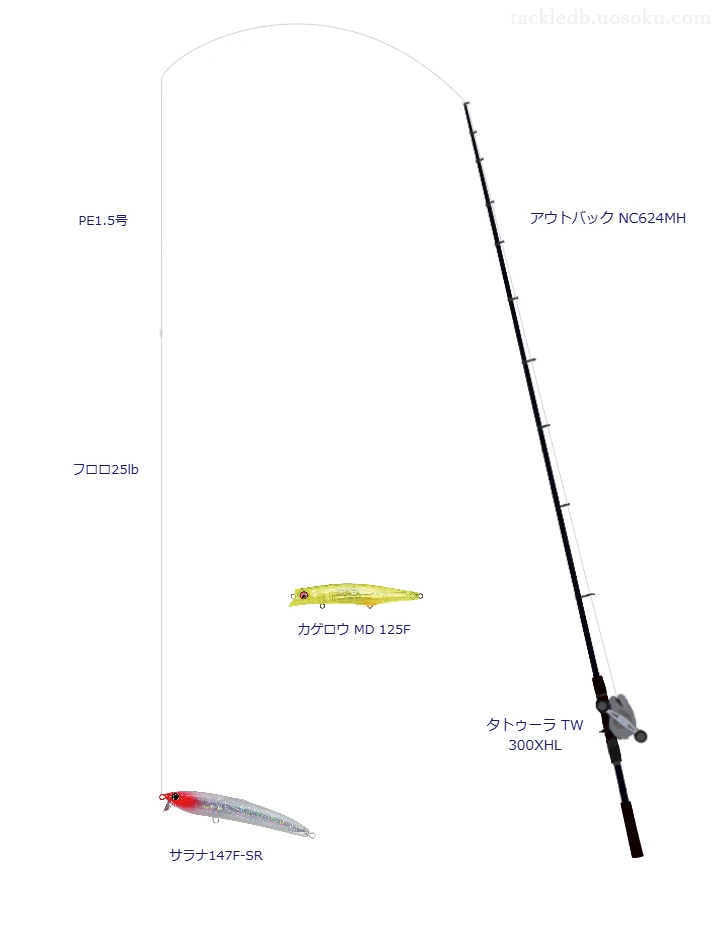 サラナ147F-SRを使うボートシーバスタックル【アウトバック NC624MH】