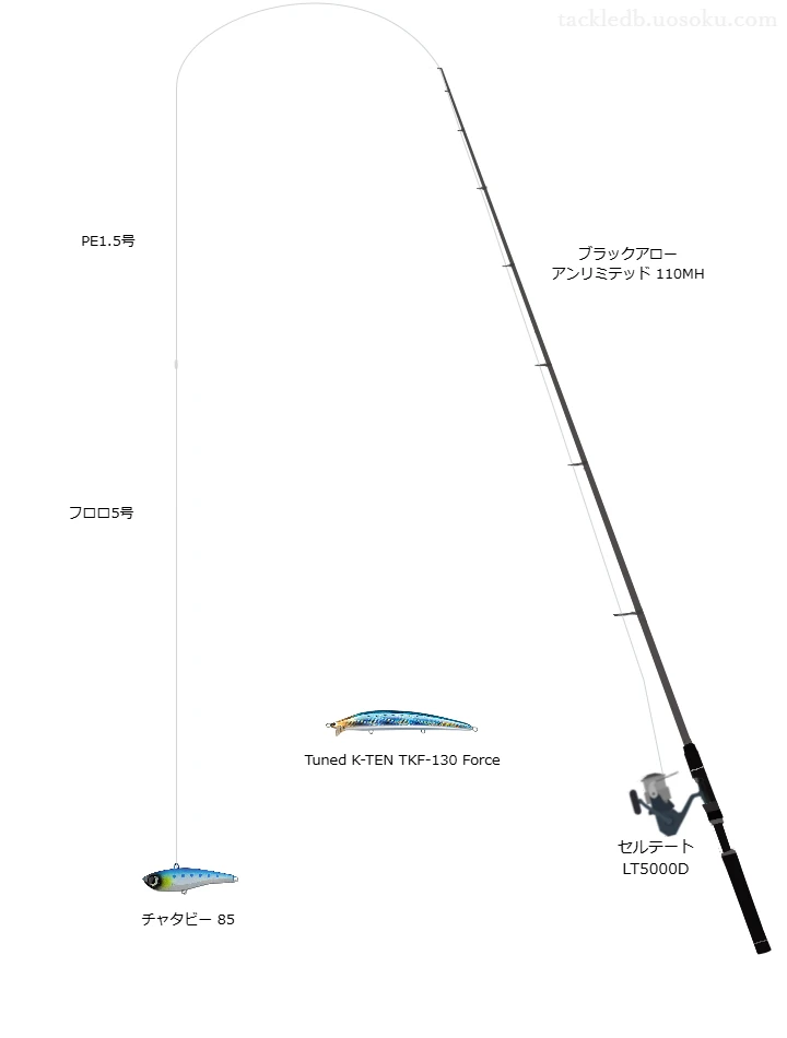 ブラックアロー アンリミテッド 110MHとチャタビー 85による最強ヒラスズキタックル