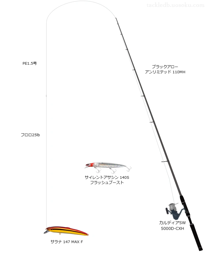 ブラックアロー アンリミテッド 110MHとミノーによるヒラスズキタックル【Vインプレ】